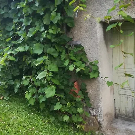 Barbara'S Village House Ilirska Bistrica Extérieur photo